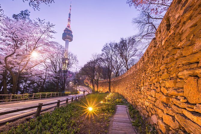 Special City Night Tour - Who Should Book This Tour?