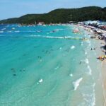 Speedboat Tour From Pattaya to Koh Larn Coral & Sak Island - What to Expect on the Tour