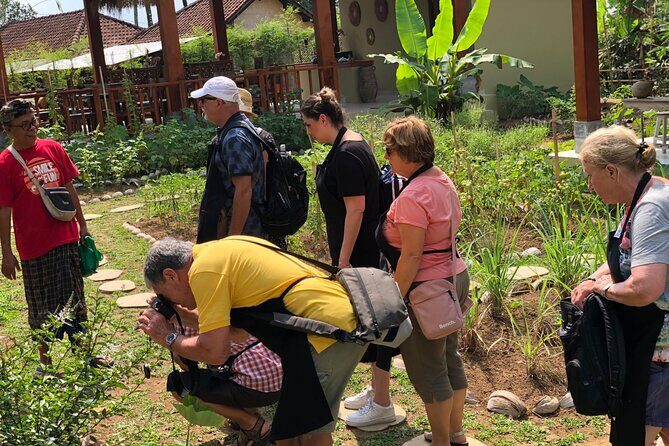 Spice Garden, Jamu & Cooking Class in Bali Village - Authenticity & Value: What the Experience Really Offers