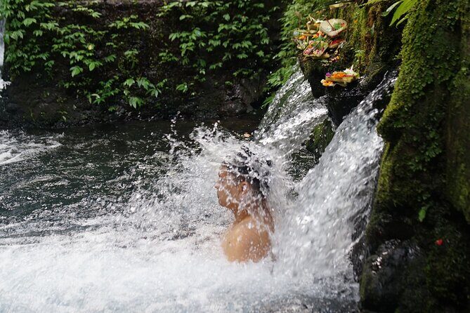 Spiritual Cleansing Ritual and Shamanic Healing in Bali - What Makes This Tour Stand Out?