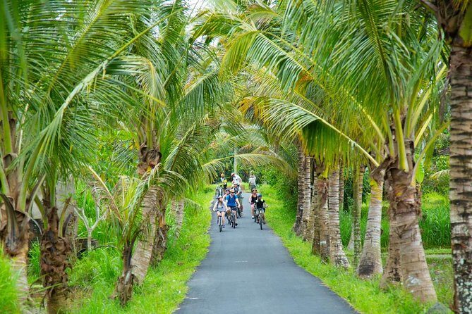 Spiritual Journey with private purification ceremony, local priest - Ubud - Exploring the Itinerary in Detail
