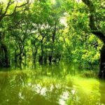 Sreemangal Tour! Sylhet, Bangladesh - Who Is This Tour For?