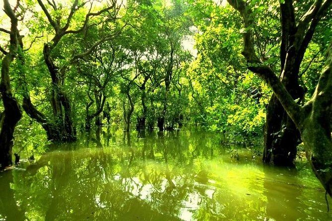 Sreemangal Tour! Sylhet, Bangladesh - Who Is This Tour For?