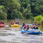 Sri Lanka 4 Days Tour - What Travelers Say