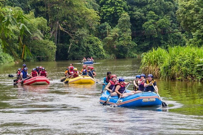 Sri Lanka 4 Days Tour - What Travelers Say