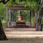 Sri Lanka Multi Day Car Hire with English Speaking Driver-Guide - What Travelers Are Saying