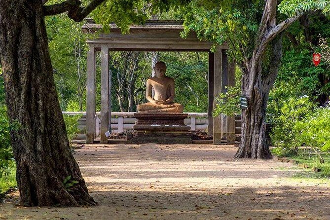 Sri Lanka Multi Day Car Hire with English Speaking Driver-Guide - What Travelers Are Saying