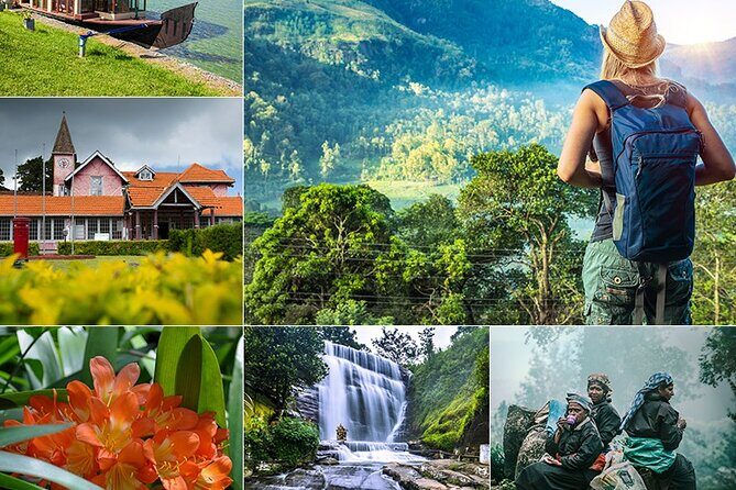 Sri Lanka Private Tour 10 DAYS Driver/Vehicle/Accommodation H/B - Authentic Insights from Travelers’ Reviews