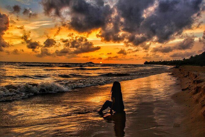Sri Lanka Private Tour 8 days-Driver/vehicle/accommodation H/B - What Travelers Say: Authentic Insights from Reviews
