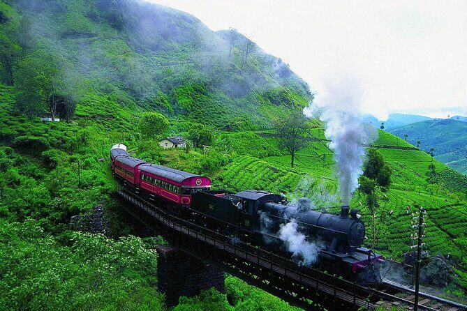 Sri Lanka; Professional Chauffeur Guide With Modern Vehicles - Final Thoughts