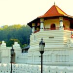 Sri Lanka tour 8 Days with a private driver, hotels, and vehicle - Why This Tour Offers Value