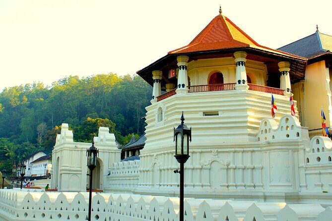 Sri Lanka tour 8 Days with a private driver, hotels, and vehicle - Why This Tour Offers Value