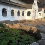 Sri Lanka Tour in 8 Days - The Value of This Tour