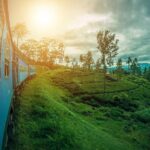 Sri Lanka Tour Package in 05 Nights 06 Days - Why This Tour Offers Value