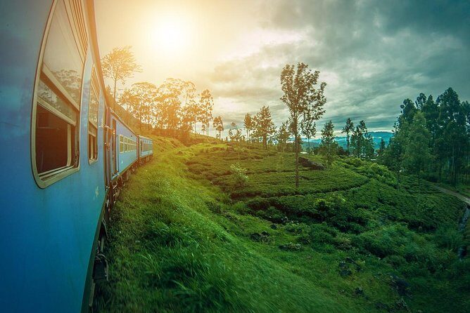 Sri Lanka Tour Package in 05 Nights 06 Days - Why This Tour Offers Value