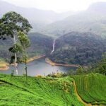 Sri Lanka Tour Packages with English Speaking Driver Guide and Car - Why This Tour Is a Great Deal