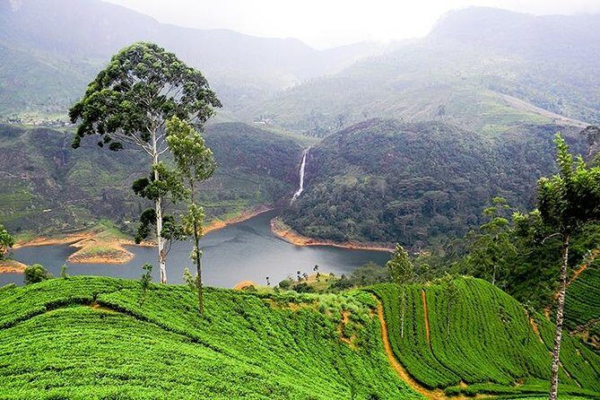 Sri Lanka Tour Packages with English Speaking Driver Guide and Car - Why This Tour Is a Great Deal
