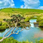 Sri Lanka Unveiled: 12 Nights Complete Experience Package - The Value of This Tour