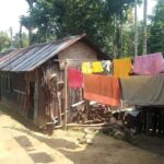 Srimangal nature tour in forest and tea garden - How This Tour Adds Value