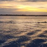 St. Augustine Private Day or Sunset Boat Tour, 6 passengers max - Final Thoughts: Who Should Consider This Tour?
