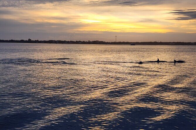 St. Augustine Private Day or Sunset Boat Tour, 6 passengers max - Final Thoughts: Who Should Consider This Tour?