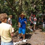 St. Petersburg: Jungle Prada Site History Tour - What to Expect During Your Visit