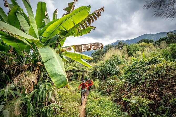 Stairway to Heaven Trail Mountain Biking Tour Chiang Mai - The Bikes and Equipment
