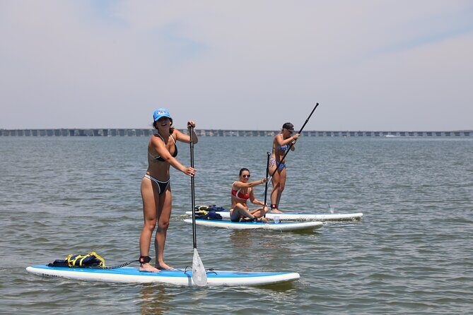 Stand Up Paddleboard Rentals in Ocean City, MD - Who Will Enjoy This Experience?
