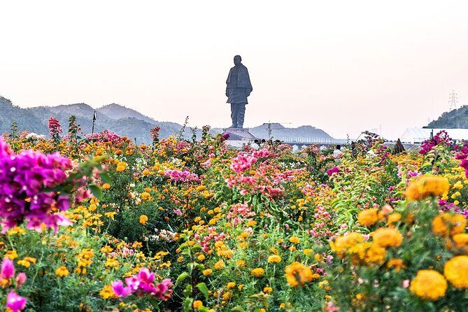Statue of Unity tour from Ahmedabad in private car with lunch and guide - Insights from Reviews