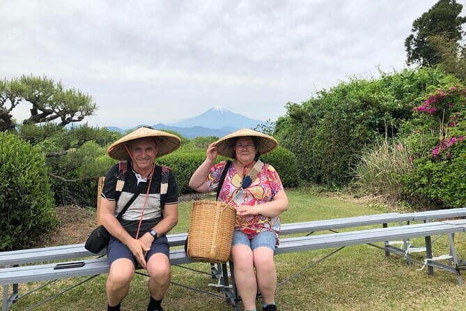 Step- Free easy going tour from Shimizu Port / Sedan Taxi - Who Is This Tour Best Suited For?
