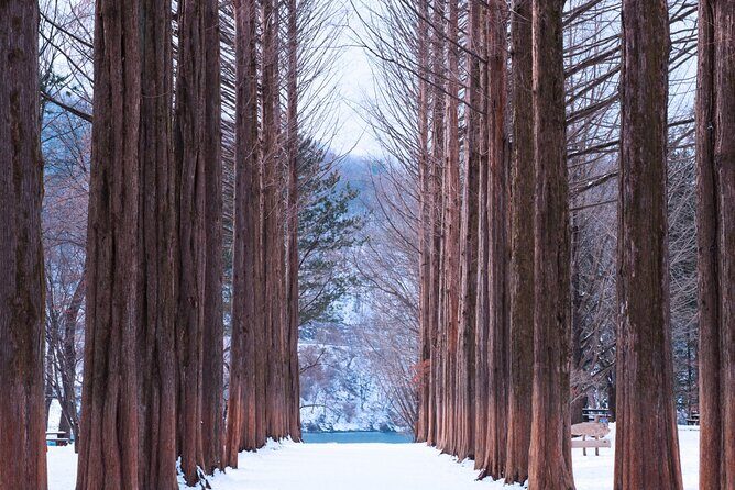 Strawberry & Nami Island & Railbike Trip (+ Opt. Korean Garden) - Authentic Traveler Insights
