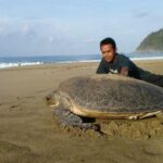 Sukamade Adventure -Turtle Beach Tour - Who Will Love This Tour?