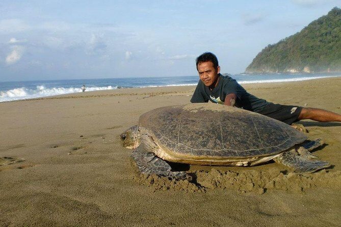 Sukamade Adventure -Turtle Beach Tour - Who Will Love This Tour?