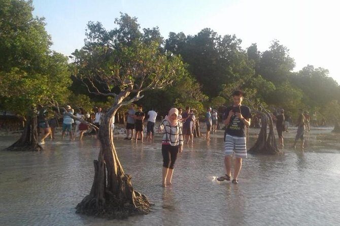 Sumba Adventure 5 Days 4 Nights - How This Tour Delivers Value