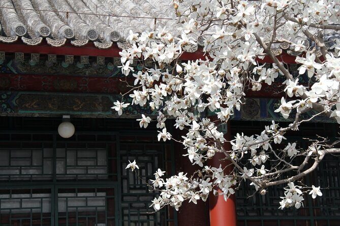 Summer Palace+Ming Tombs/Heaven Temple/China National Museum Tour - Who Should Consider This Tour?