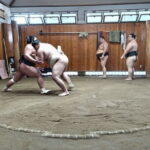 Sumo Practice Viewing Guided Tour and Photo with Sumo Wrestlers - What to Expect from the Sumo Practice Tour