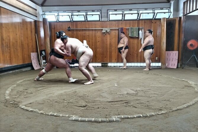 Sumo Practice Viewing Guided Tour and Photo with Sumo Wrestlers - What to Expect from the Sumo Practice Tour