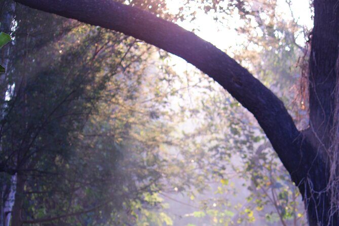 Sunder Nursery Delhi's Heritage Garden Walk Tour - The Sum Up