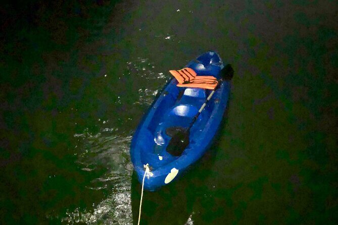 Sunset & Bioluminescent Plankton Kayaking Lan Ha bay - What Makes This Tour Stand Out?