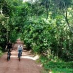 Sunset or sunrise bicycle tour around Angkor Wat and nearby temples - The Experience from a Traveler’s Perspective