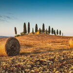 Sunset semi private Chianti Tuscany Wine Tasting Tour from Florence - What’s Included and What to Expect