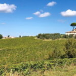 Sunset VIP Chianti wine tour - Who Will Love This Tour?