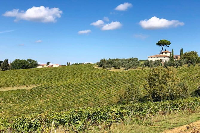 Sunset VIP Chianti wine tour - Who Will Love This Tour?