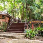 Surin Islands 2 Days 1 Night Trip from Khao Lak - Is It Worth the Price?