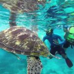 Surin Islands Snorkeling Trip from Phuket - The Sum Up: Is This Tour Right for You?