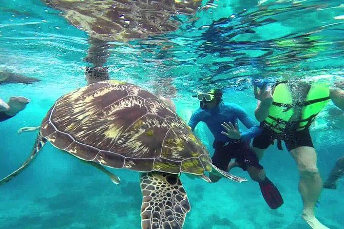 Surin Islands Snorkeling Trip from Phuket - The Sum Up: Is This Tour Right for You?