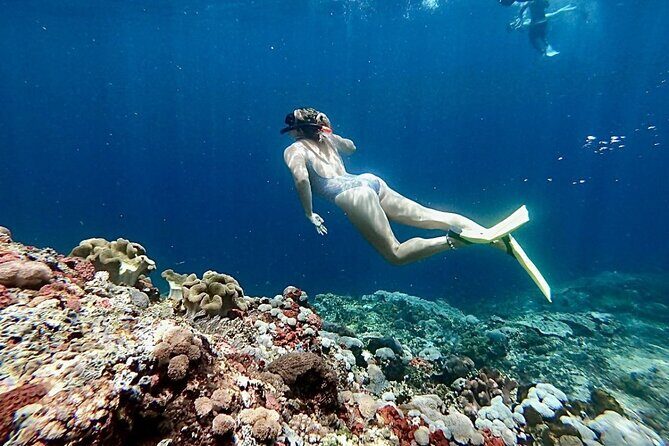 Swim with Manta Rays: Snorkeling Day Trip from Bali - The Real Value of This Tour