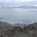 Taal Volcano Experience: Scenic Countryside and Volcano Tour - What Makes This Tour Stand Out?
