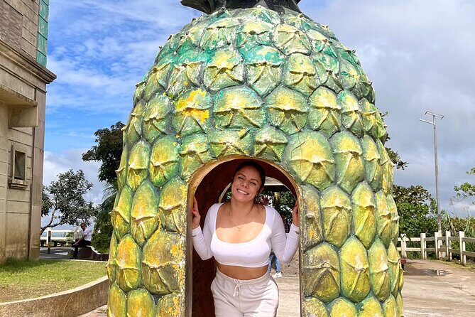 Tagaytay Day Tour sightseeing with Panoramic Taal volcano view - Cultural and Artistic Touches