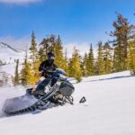 Tahoe Snowmobiling Tours - The Real Experience: What Reviewers Say